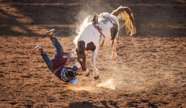 San Diego Rodeo Is Returning To Petco Park | Newsradio 600 KOGO