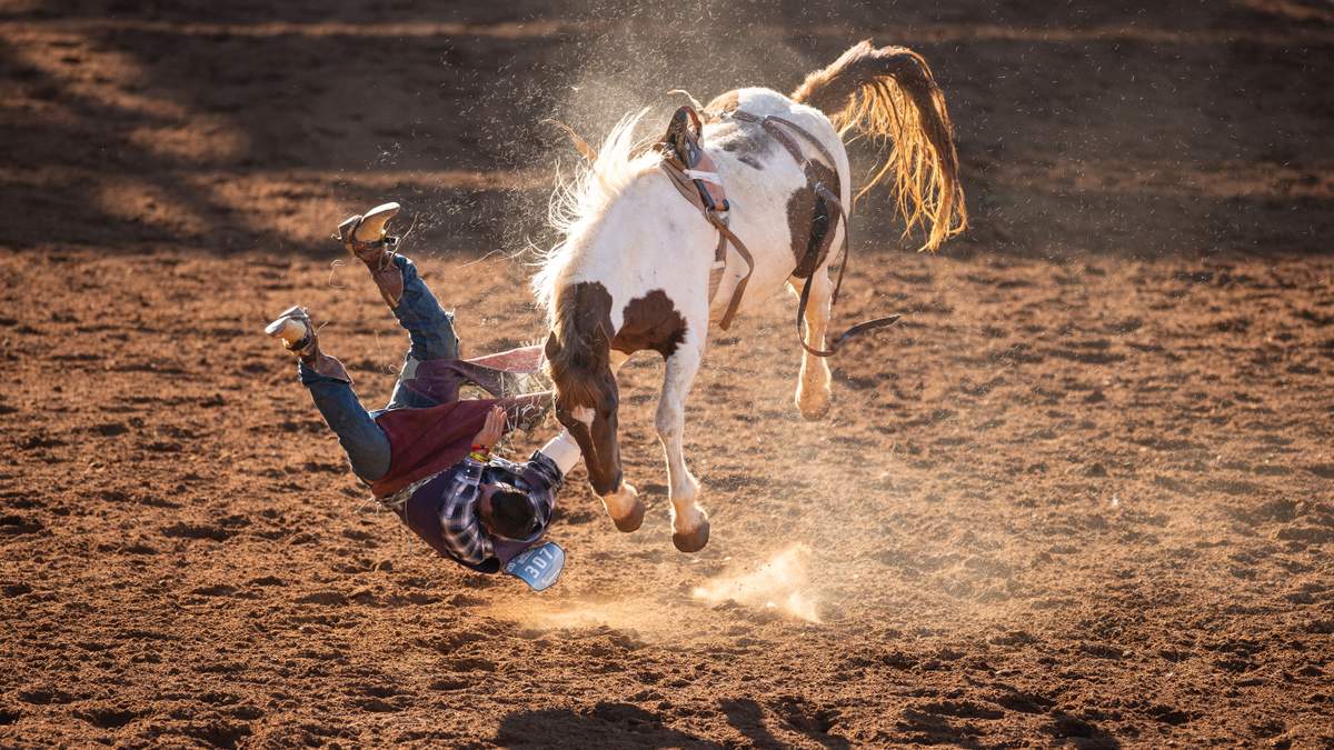 San Diego Rodeo Is Returning To Petco Park | Newsradio 600 KOGO