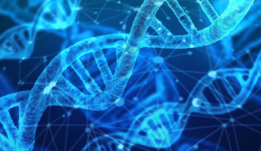 UC Berkeley researchers’ AI model makes links between DNA, genetic disease easier to predict | Research And Ideas