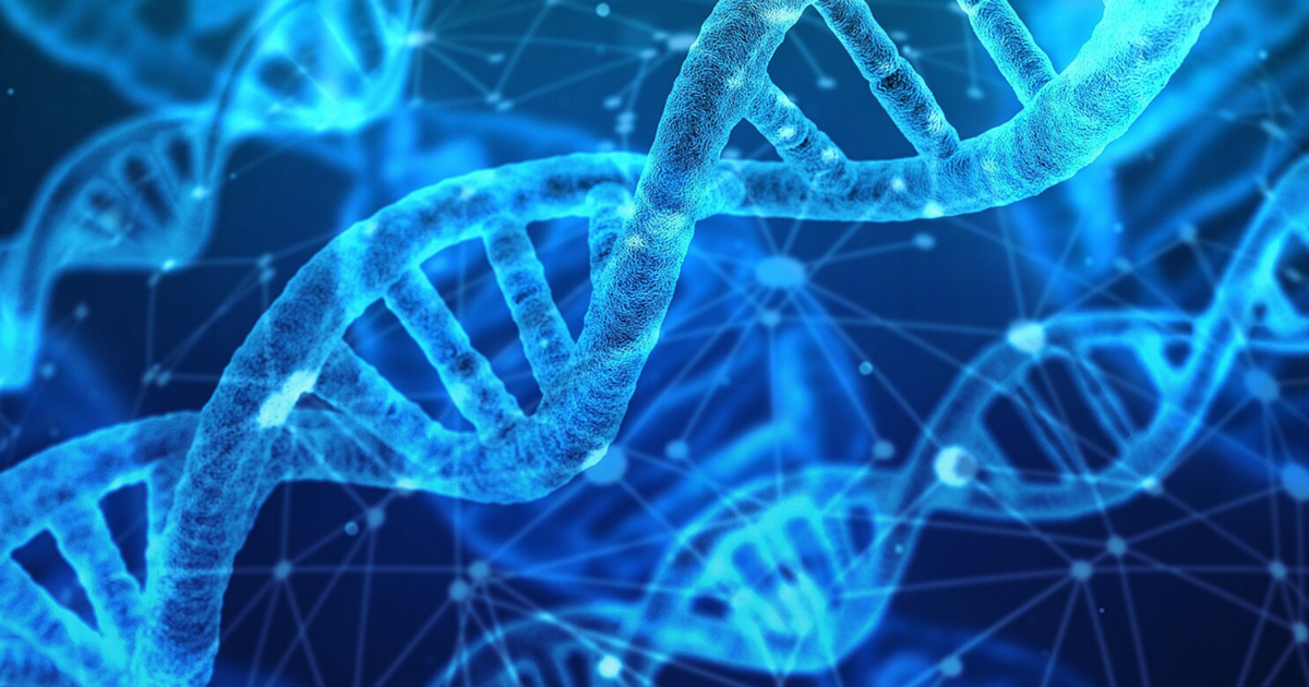 UC Berkeley researchers’ AI model makes links between DNA, genetic disease easier to predict | Research And Ideas