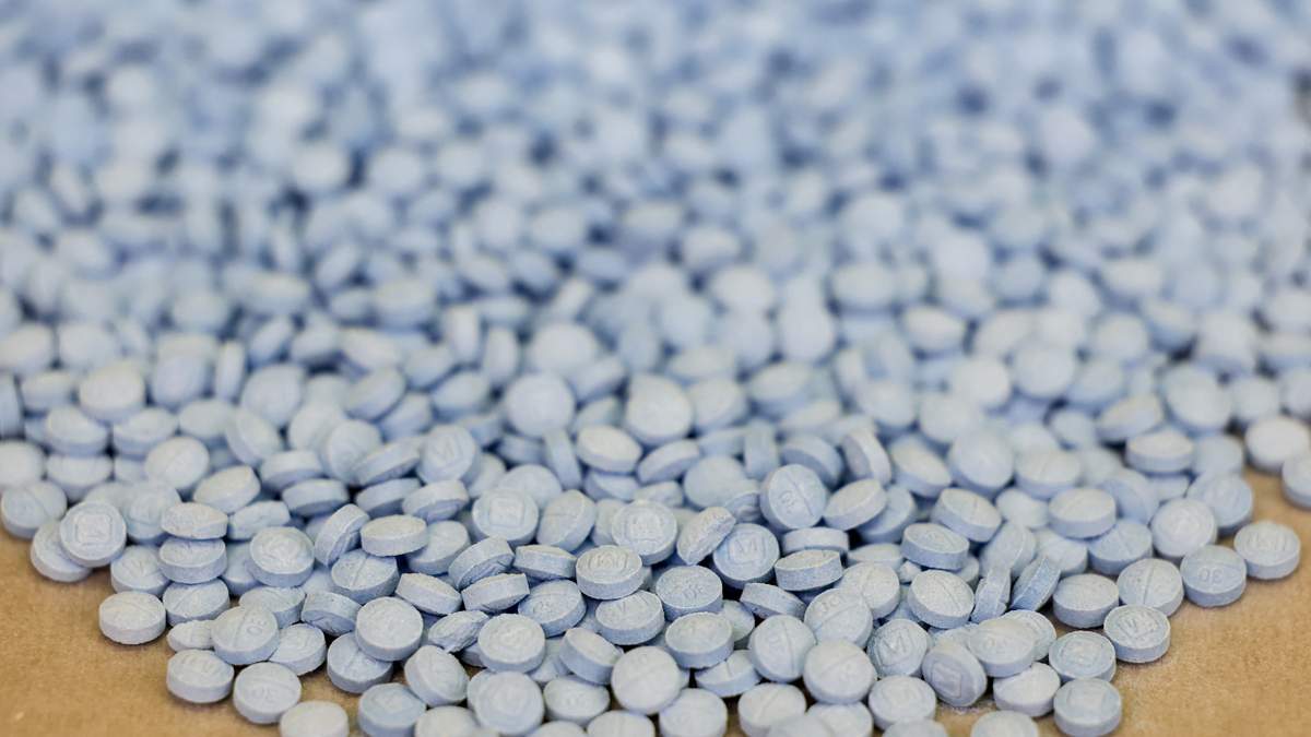 Navy Fentanyl Plea In Sailor Death | Newsradio 600 KOGO