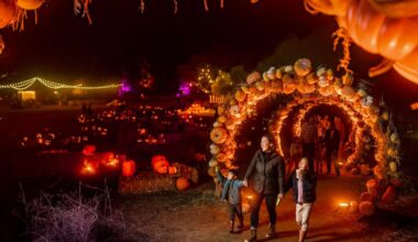 Harvest Happenings, Spooky Delights and One Soaring Fleet Week | Calendar