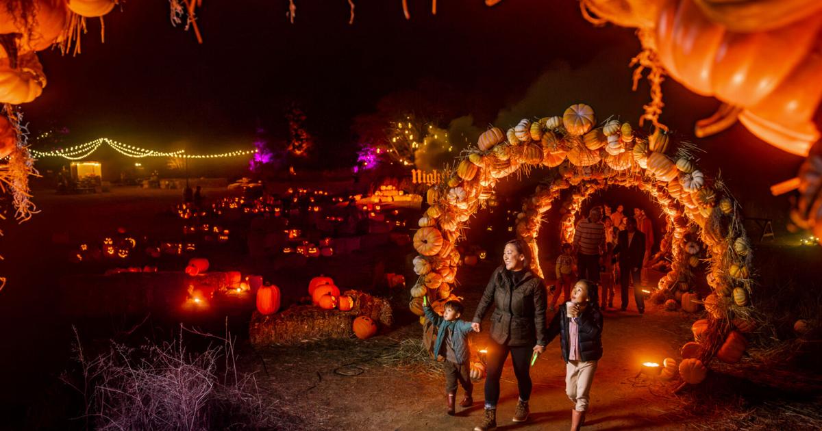 Harvest Happenings, Spooky Delights and One Soaring Fleet Week | Calendar