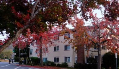 How to pumpkin spice up your fall semester | How To