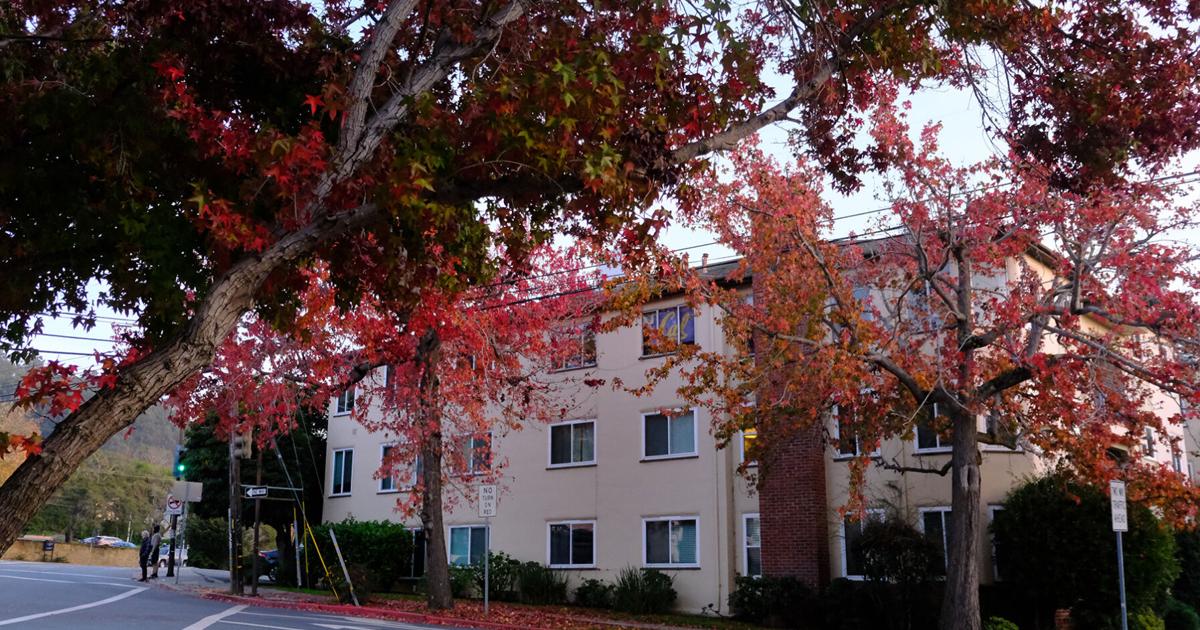 How to pumpkin spice up your fall semester | How To