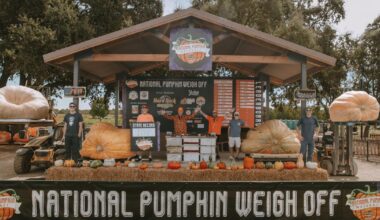Chico man takes home second place with 2,359 pound pumpkin | Covering California