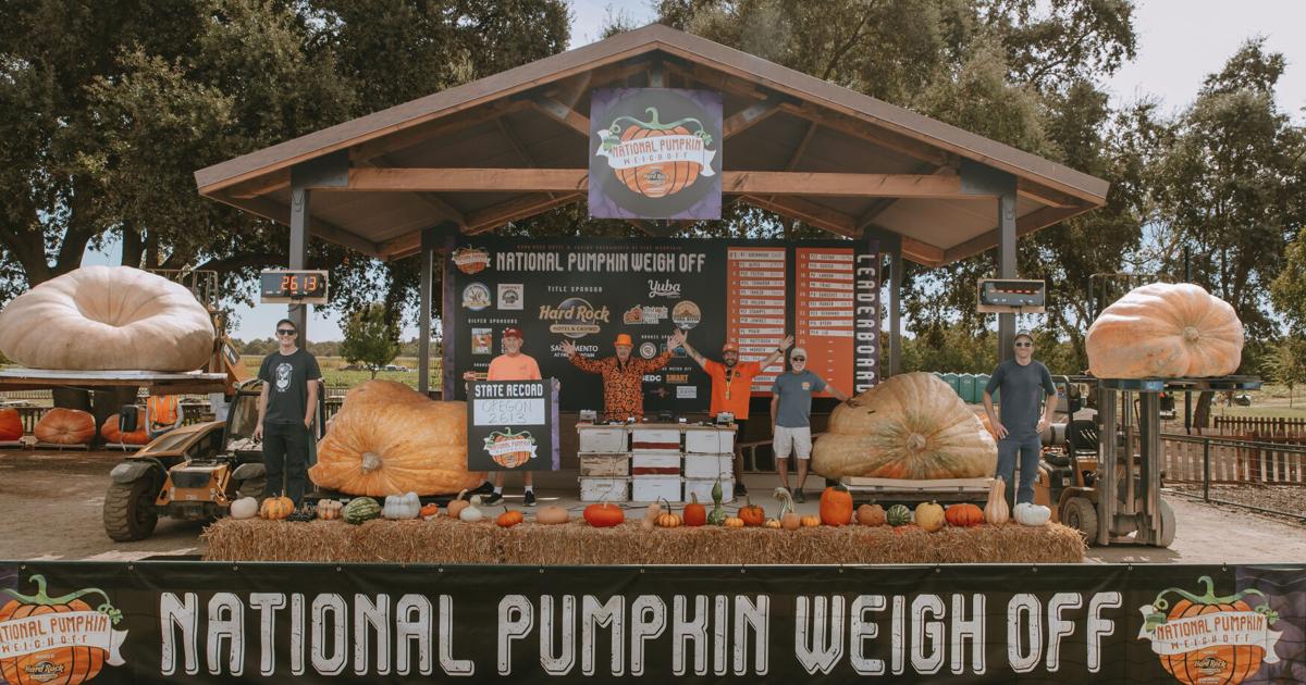 Chico man takes home second place with 2,359 pound pumpkin | Covering California
