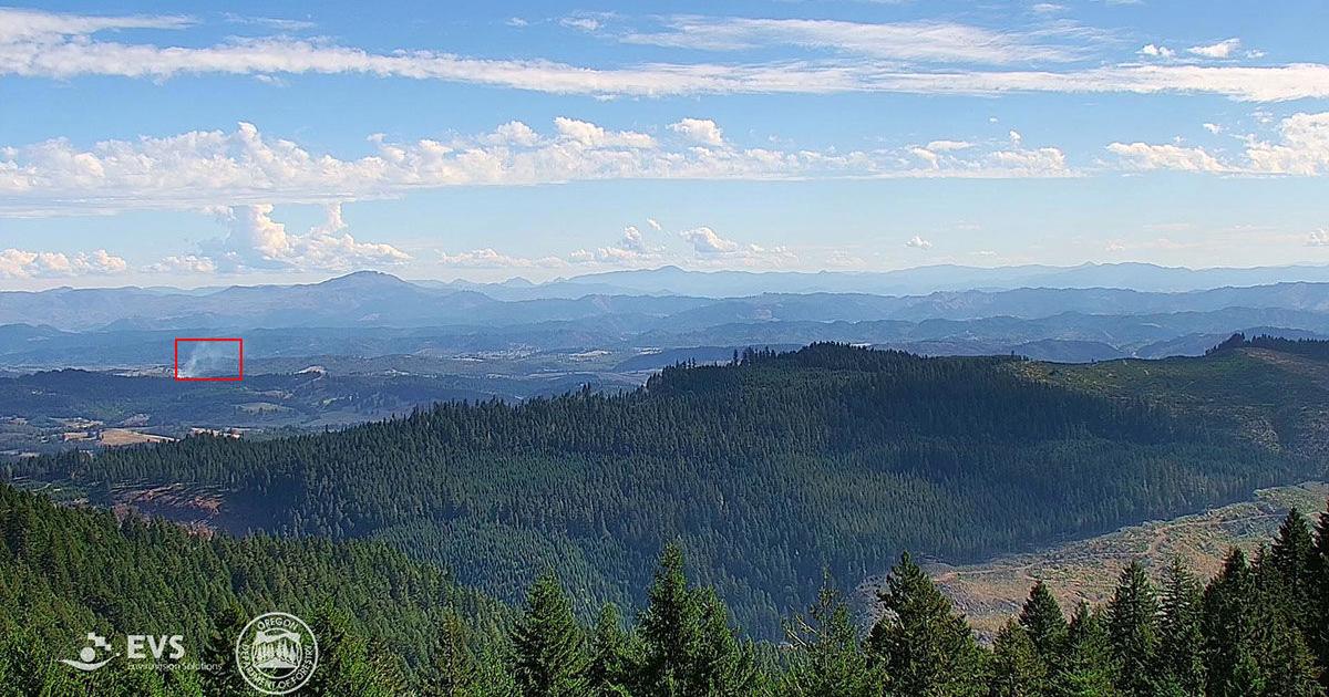 Human-caused fire burns 7 acres near Oakland in Douglas County | Local