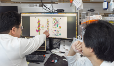 UC Berkeley researchers discover ancestor of gene-editing tool CRISPR | Research And Ideas