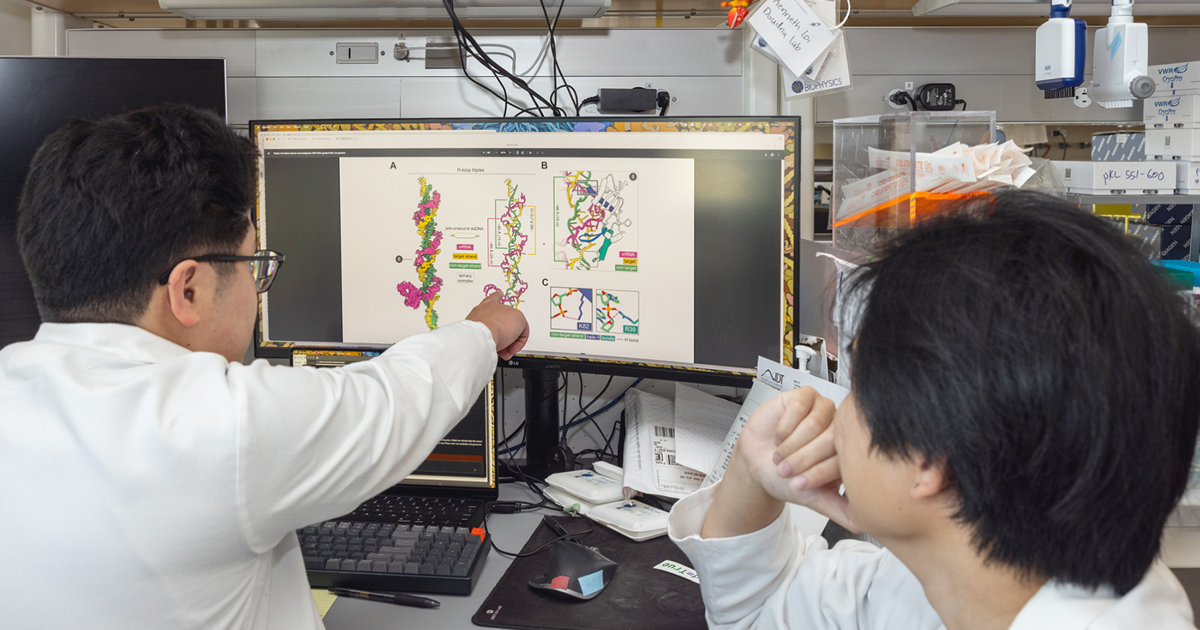 UC Berkeley researchers discover ancestor of gene-editing tool CRISPR | Research And Ideas
