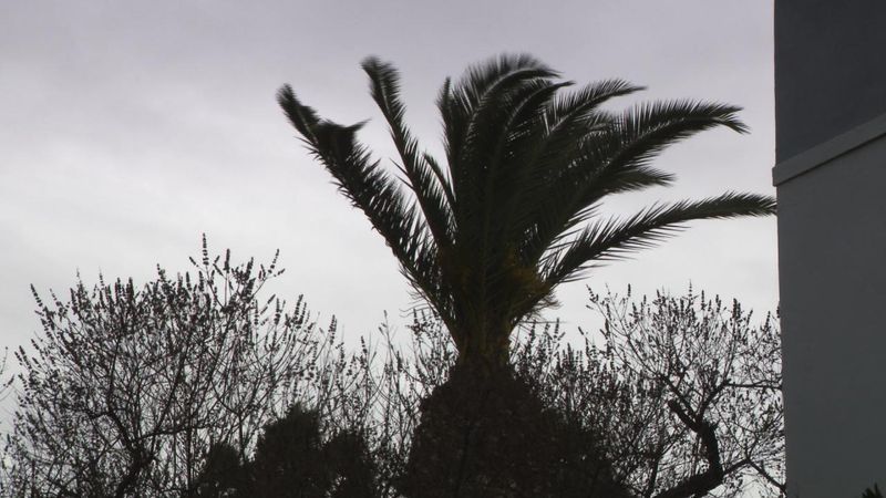 Kern County farmers ready fields and ditches as El Niño winter threat grows (KBAK/KBFX)