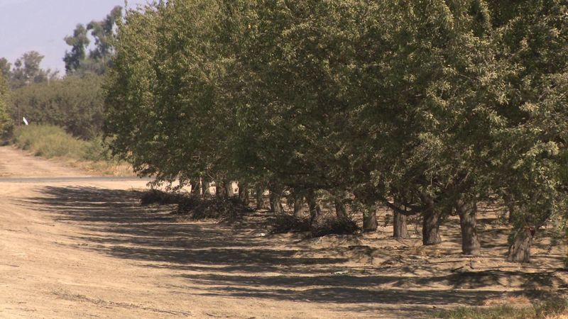 Diesel hits record $8.06 a gallon in Bakersfield amid Middle East supply disruptions (KBAK/KBFX)