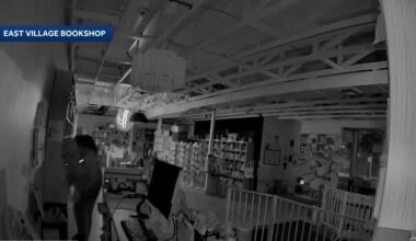 Sacramento downtown businesses hit in string of burglaries
