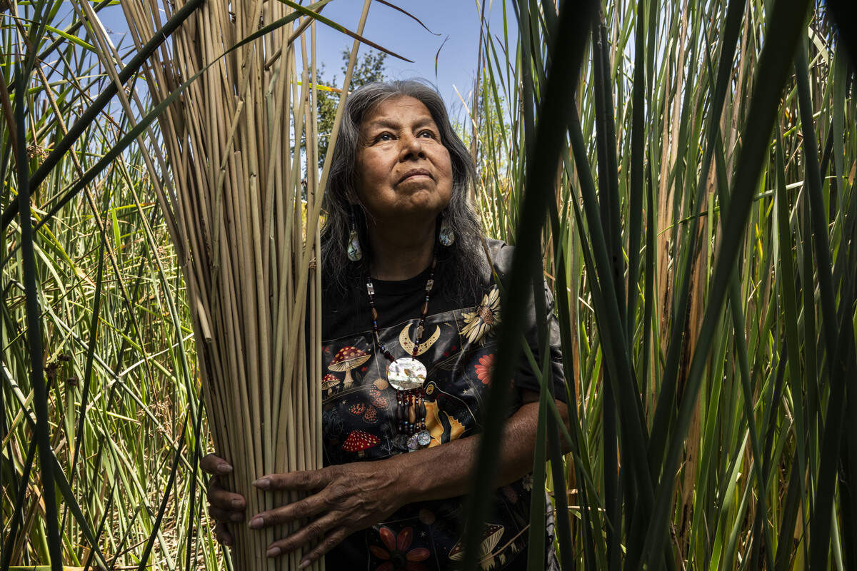Diana Almendariz, a Maidu-Wintun natural and cultural history expert, holds California tule at the Cache Creek Conservancy in Yolo County on Tuesday, July 28, 2026. Almendariz, a 2026 Change Maker, says tule is her spirit plant, which she uses to make baskets and sometimes to carry fire during cultural burns.