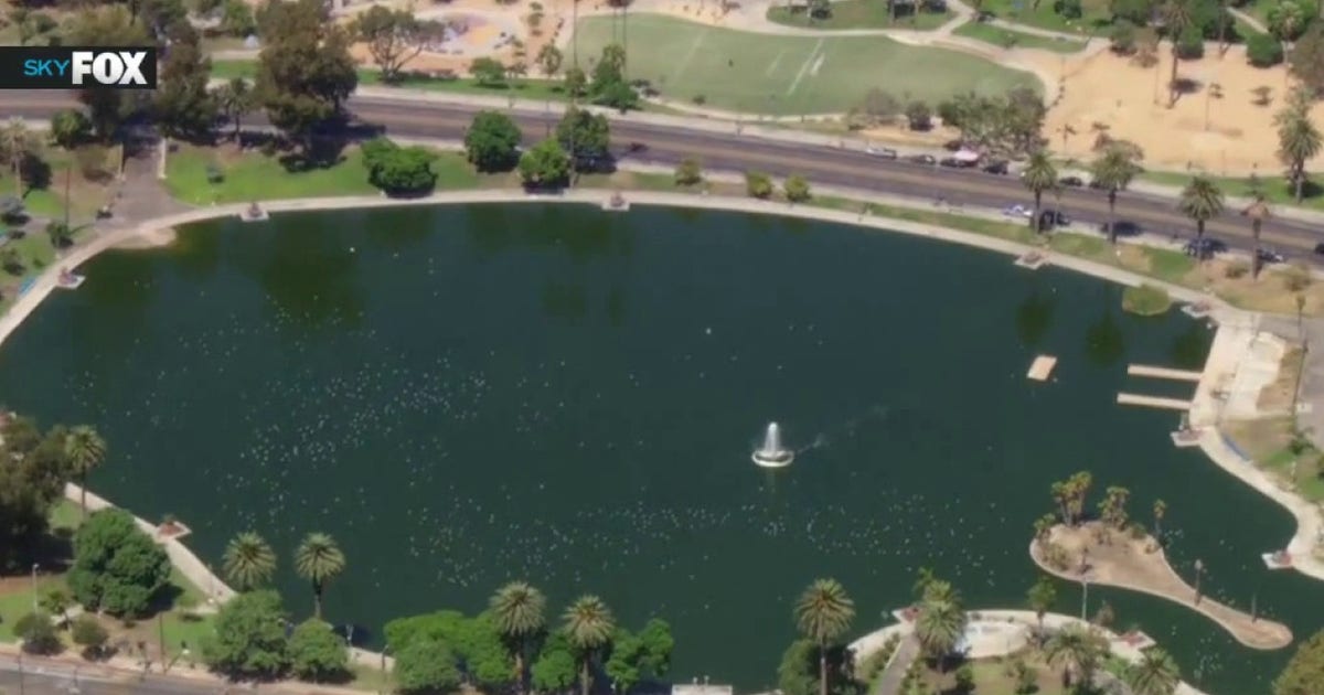 Is MacArthur Park safe to visit Labor Day Weekend? DA Hochman to put it to the test