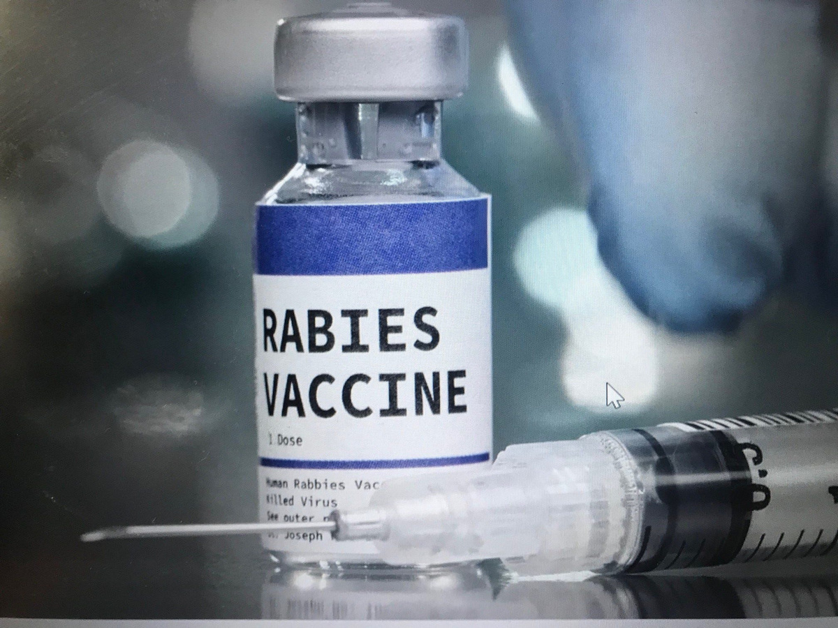 One dose of rabies vaccine.