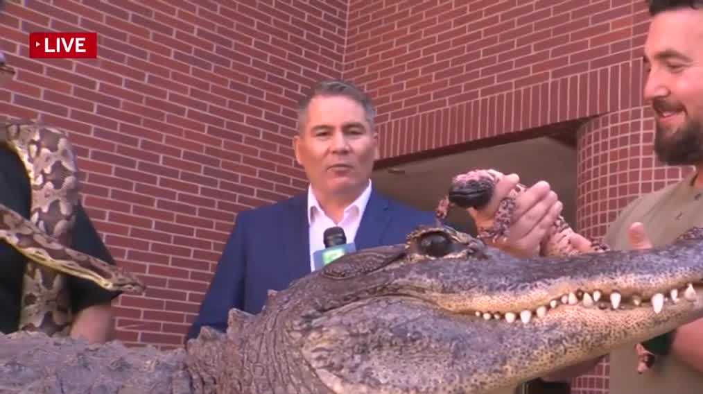 Here are Sacramento-area things to do for Sept. 25-27