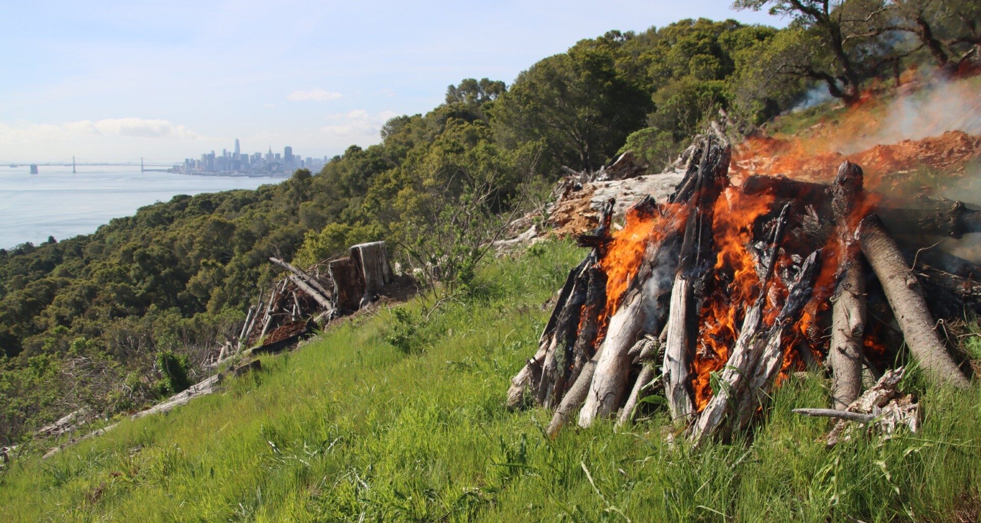 Prescribed burn on Angel Island lofts smoke over East Bay