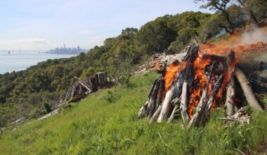 Prescribed burn on Angel Island lofts smoke over East Bay