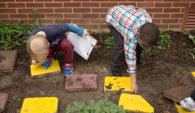 Growing pains for transitional kindergarten one year into full expansion