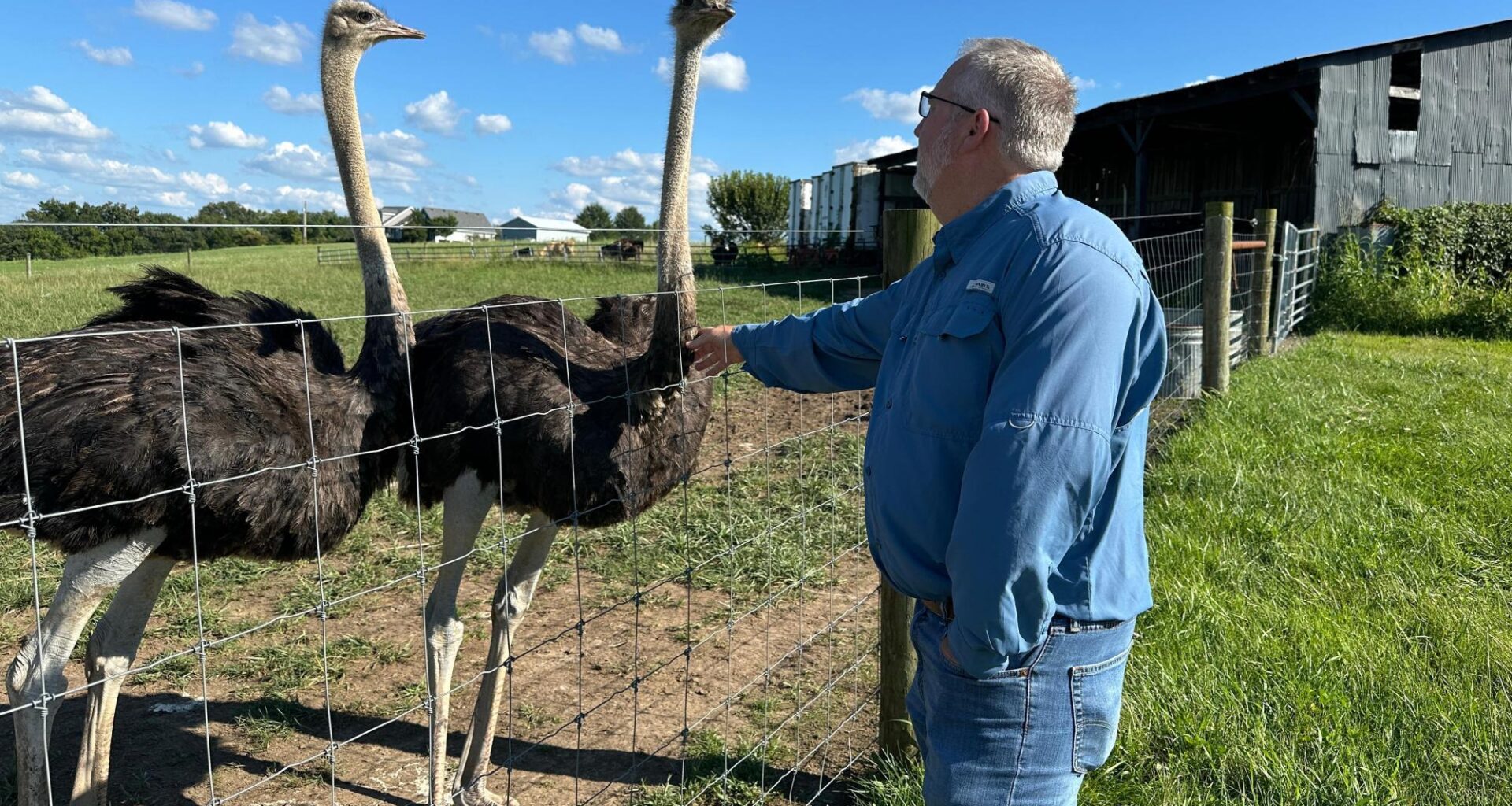 A Kentucky man with a meat allergy was craving a burger. So he got into ostrich farming