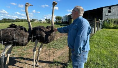 A Kentucky man with a meat allergy was craving a burger. So he got into ostrich farming