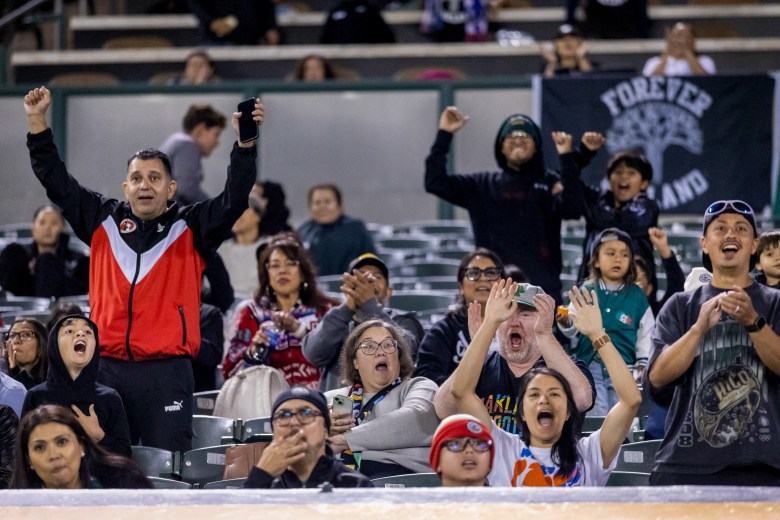 Excited spectators at a sports event cheer enthusiastically, with some raising arms, clapping, and capturing the moment on their phones.