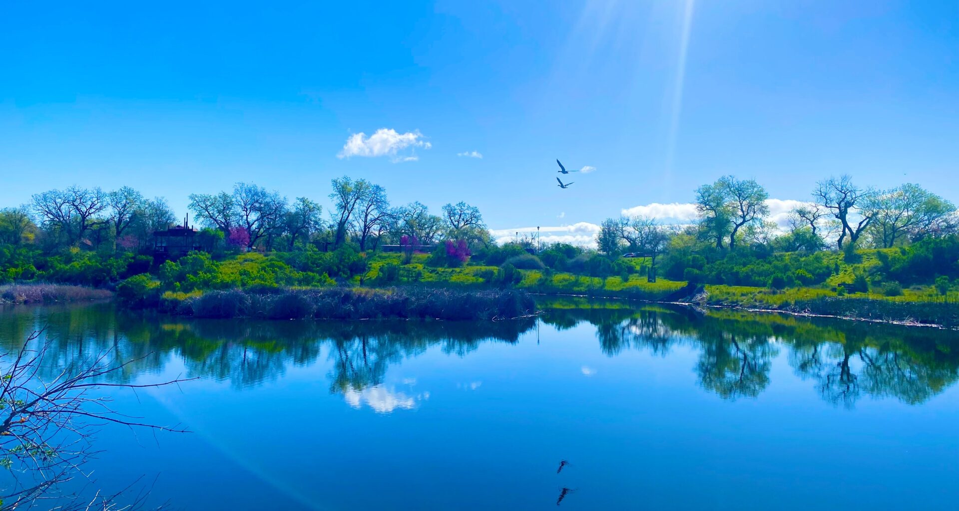 Cache Creek Conservancy earns the 2026 Impact100 Greater Sacramento Environmental Grant – Daily Democrat