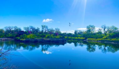 Cache Creek Conservancy earns the 2026 Impact100 Greater Sacramento Environmental Grant – Daily Democrat