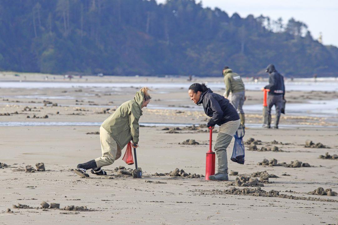 Razor clam season set to start Oct. 9