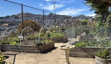 The Plots Thicken: We Rate Our Favorite SF Community Gardens