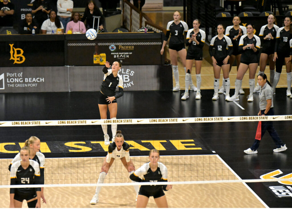 DSC 0009a