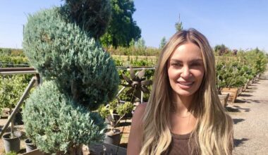 Family-owned Willow Gardens nursery shutters in Fresno