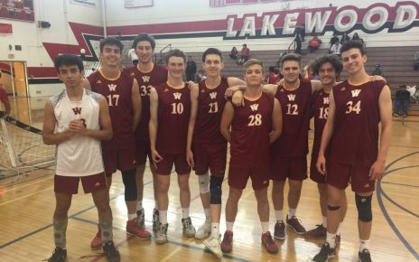 Wilson Volleyball