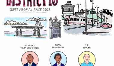 Meet the District 10 candidates: Would you expand police surveillance tech?