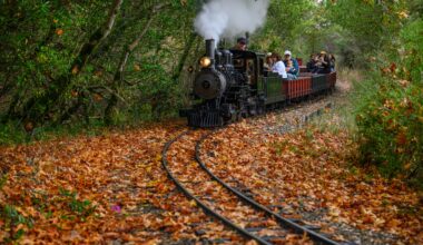 Steam trains in Tilden Park offer scenic trips through towering Redwoods