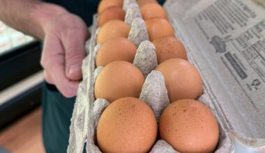Happy Hens farm in Ramona voluntarily recalls eggs after Salmonella outbreak – NBC 7 San Diego