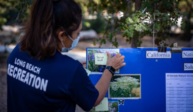 Parks Dept. warns of less programming, fewer jobs for youth due to budget cuts
