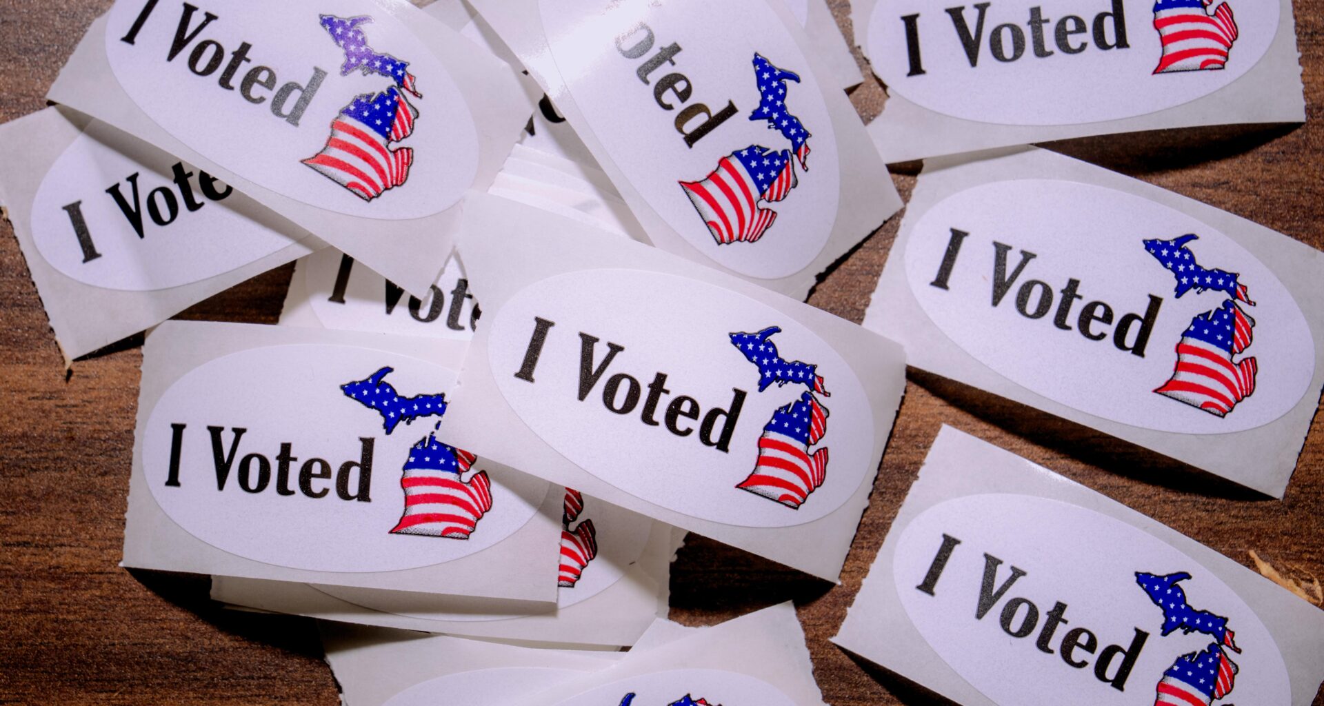 A complete guide to everything on Michigan’s ballot this November – The Oakland Press