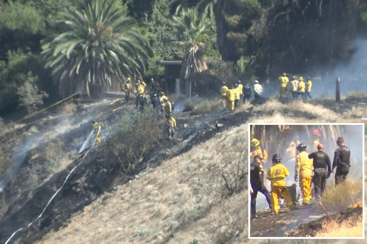 Fresno planes crash leaves several dead and injured