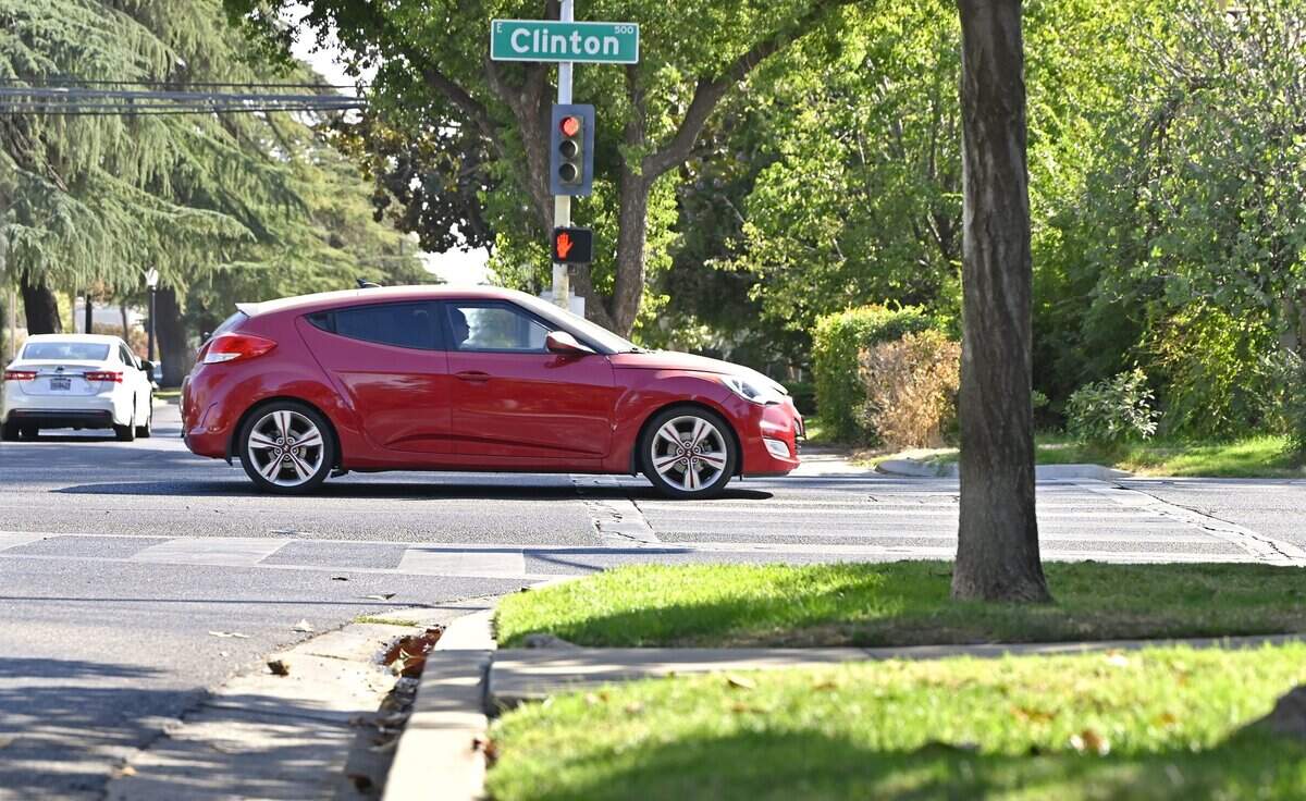 The intersection of Clinton Avenue and Van Ness Boulevard will be upgraded by the city including removal of existing sidewalk trees to clear visibility of the intersection and crosswalks