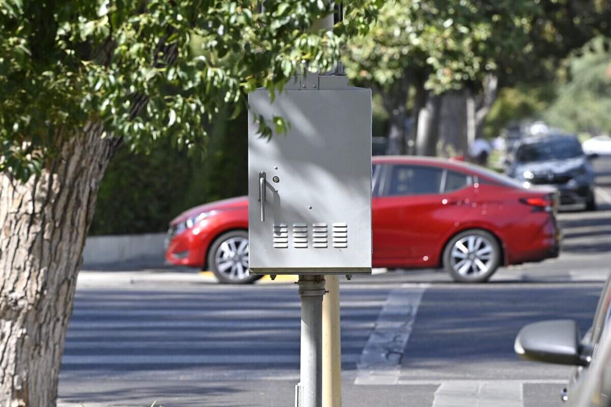 The intersection of Clinton Avenue and Van Ness Boulevard will be upgraded by the city including removal of existing sidewalk trees to clear visibility of the intersection and crosswalks