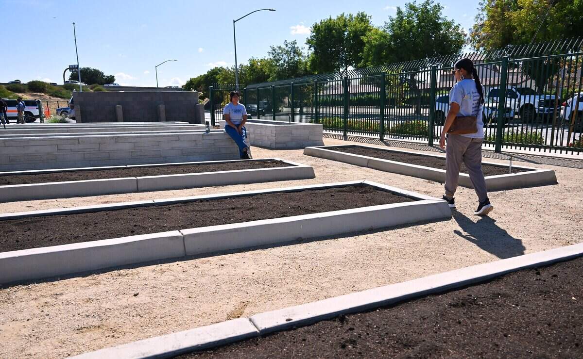 Raised concrete planters are seen at the new McKinley Peace Garden Friday morning, Sept. 4, 2026 in Fresno.