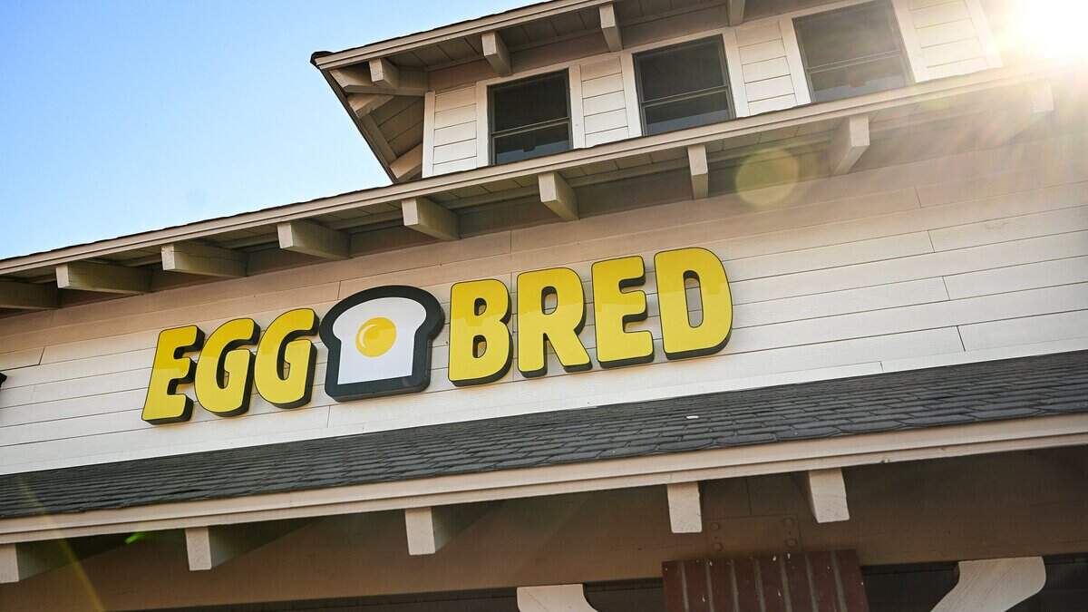 EggBred, located in the shopping center southeast of Willow and Nees, is a fast-casual restaurant concept that specializes in breakfast and brunch sandwiches. The concept was started by Albert Shim, a chef and former Chopped contestant. The Clovis franchise owner is Varinder Singh.