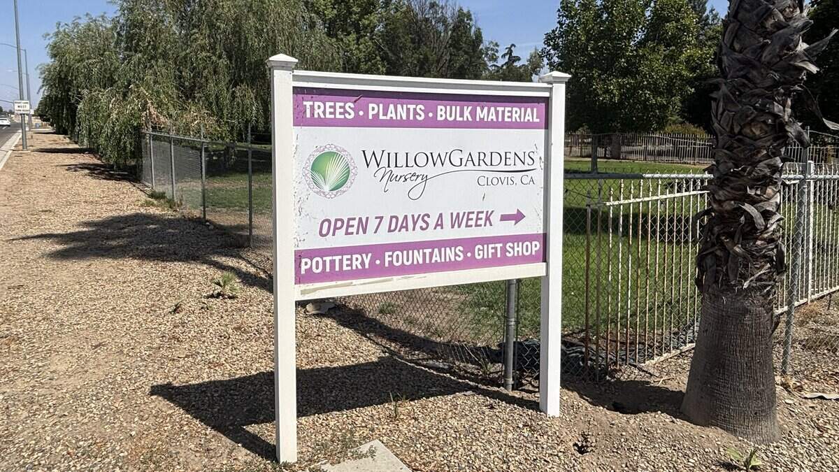 After more than 50 years in business, Willow Gardens Nursery on Willow Avenue at International in Clovis announced that it will close after their lease is up this December. The nursery opened in 1974.