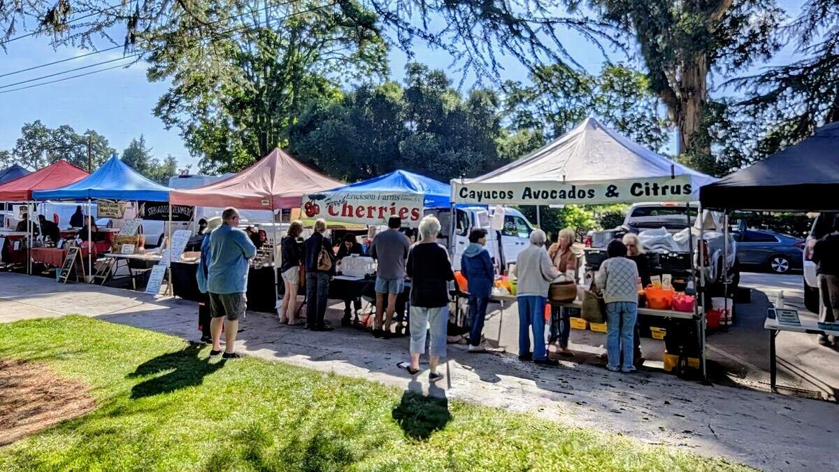 Where are the year-round farmers markets in Sacramento?