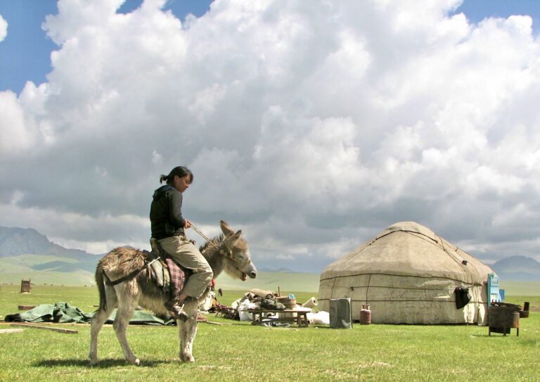 Francesca Po rides a donkey under a cloudy sky, with a hut in the background.