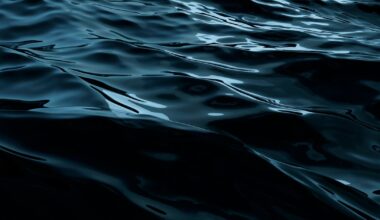 San Joaquin River search underway for 2 missing after boating accident