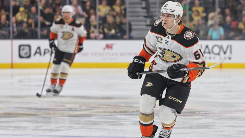 Cutter Gauthier Ducks