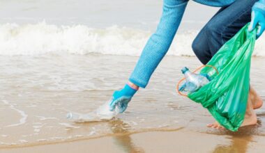 Thousands of volunteers will join California Coastal Cleanup Day; sign up now – NBC Los Angeles